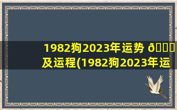 1982狗2023年运势 💐 及运程(1982狗2023年运势及运程每月运程)